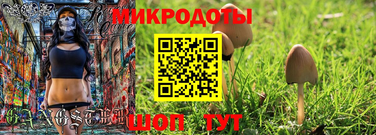Псилоцибиновые грибы мухоморы Гагарин